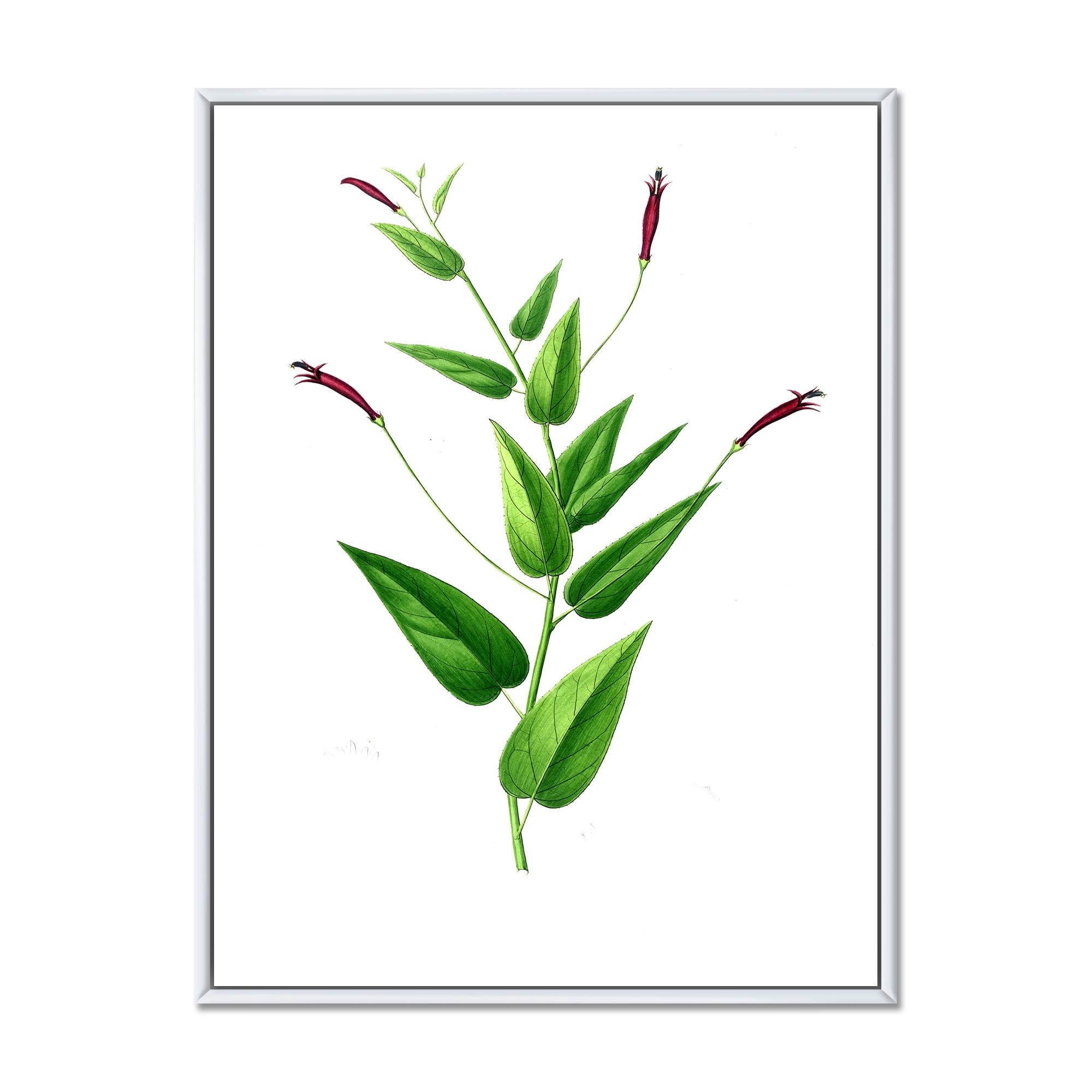 Designart 'Ancient London Plants VII' Traditional Framed Canvas Wall Art Print