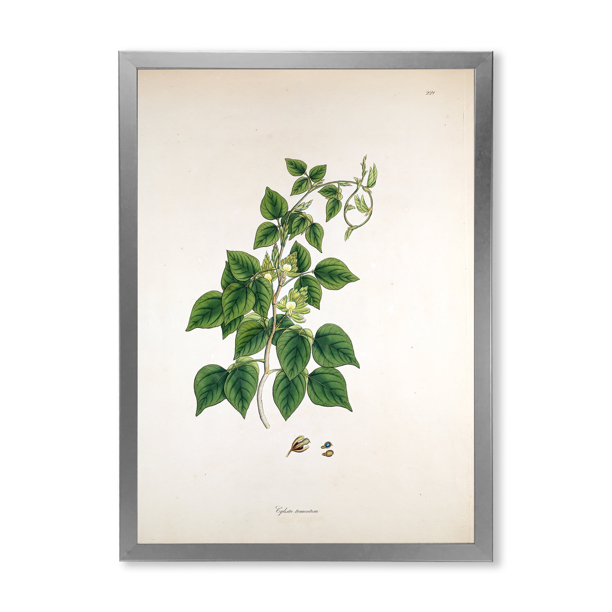 Designart 'Ancient London Plants VIII' Farmhouse Framed Art Print