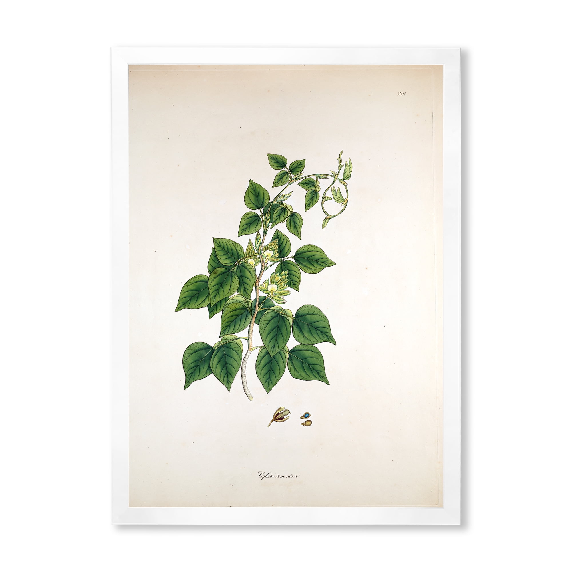 Designart 'Ancient London Plants VIII' Farmhouse Framed Art Print