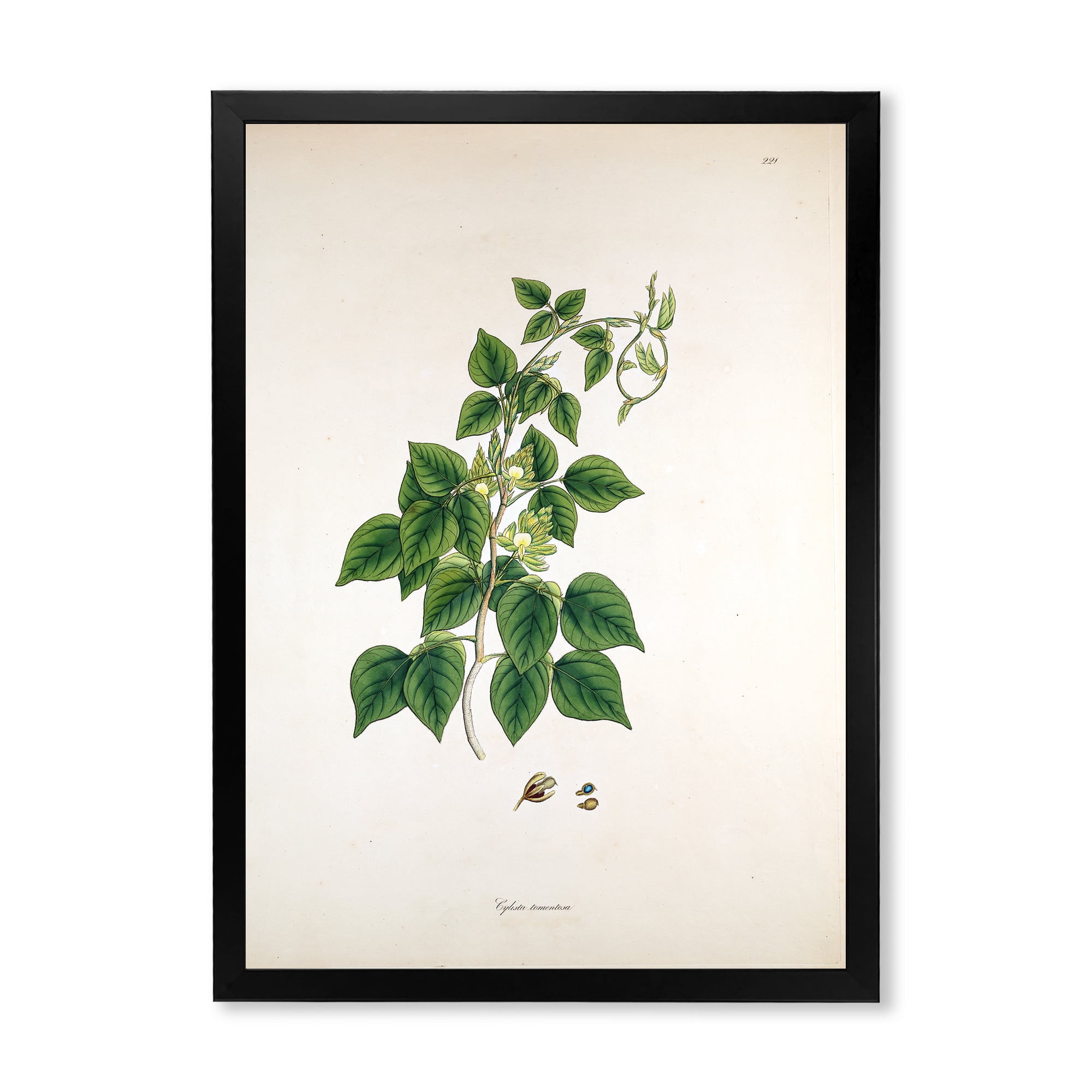 Designart 'Ancient London Plants VIII' Farmhouse Framed Art Print