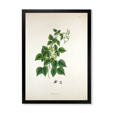 Designart 'Ancient London Plants VIII' Farmhouse Framed Art Print