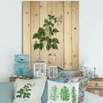 thumbnail image 1 of Designart 'Ancient London Plants VIII' Farmhouse Print on Natural Pine Wood, 1 of 5