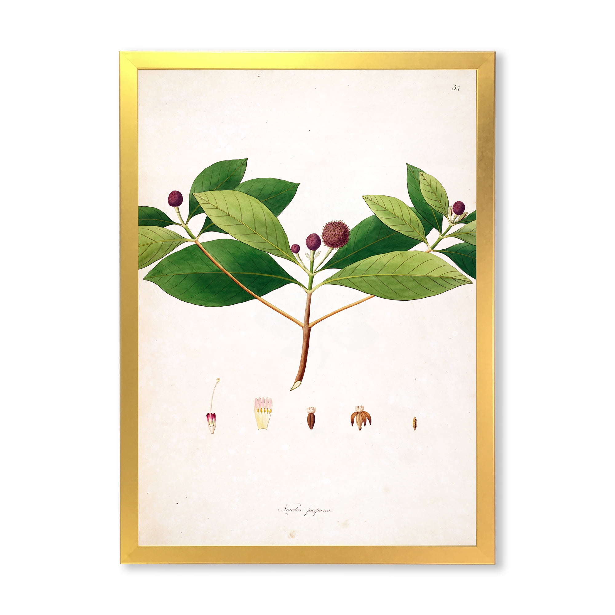 Designart 'Ancient London Plants X' Farmhouse Framed Art Print