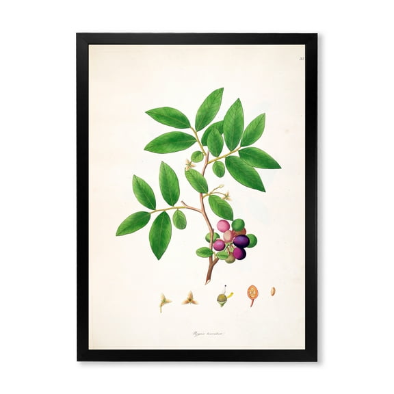 Designart 'Ancient London Plants XI' Farmhouse Framed Art Print