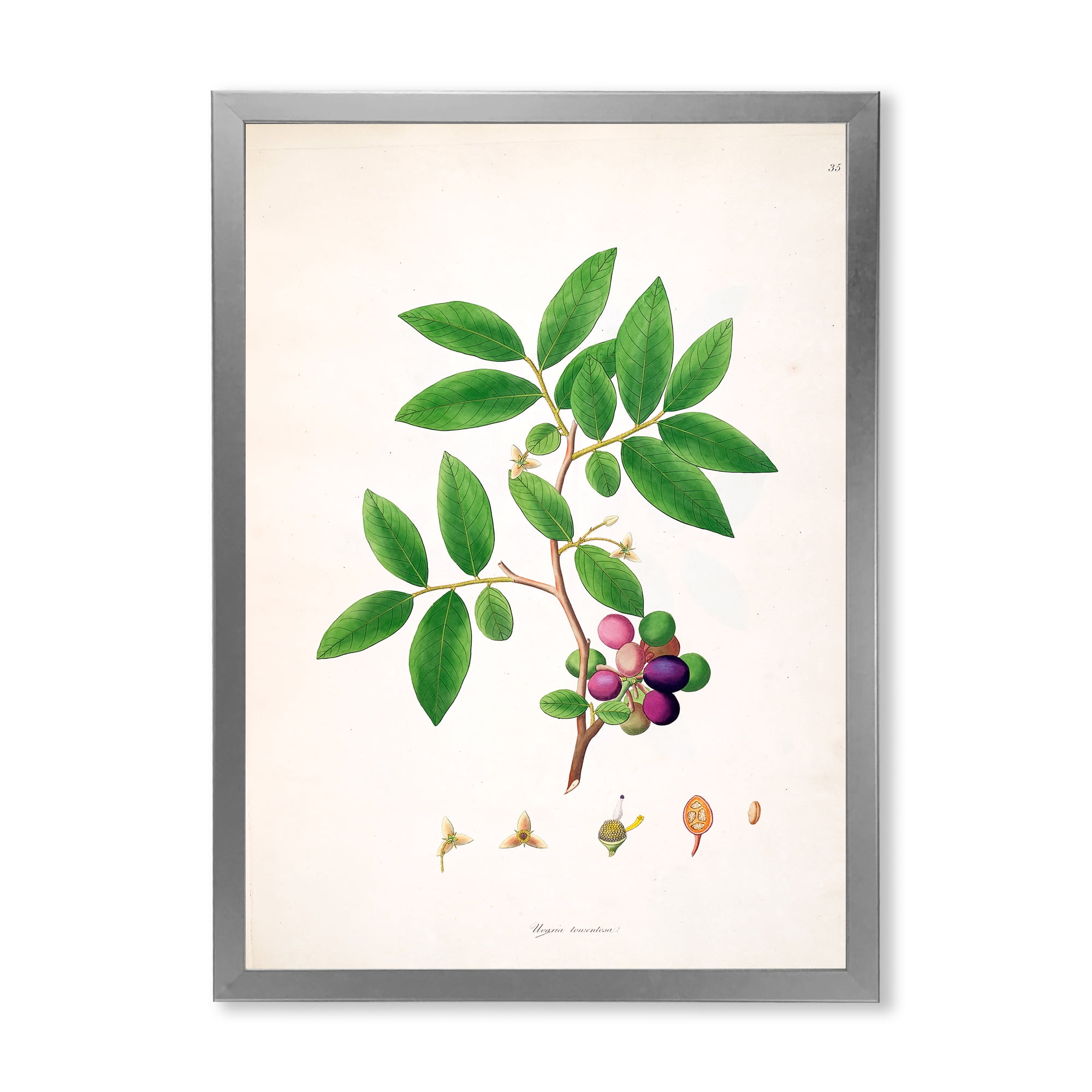 Designart 'Ancient London Plants XI' Farmhouse Framed Art Print