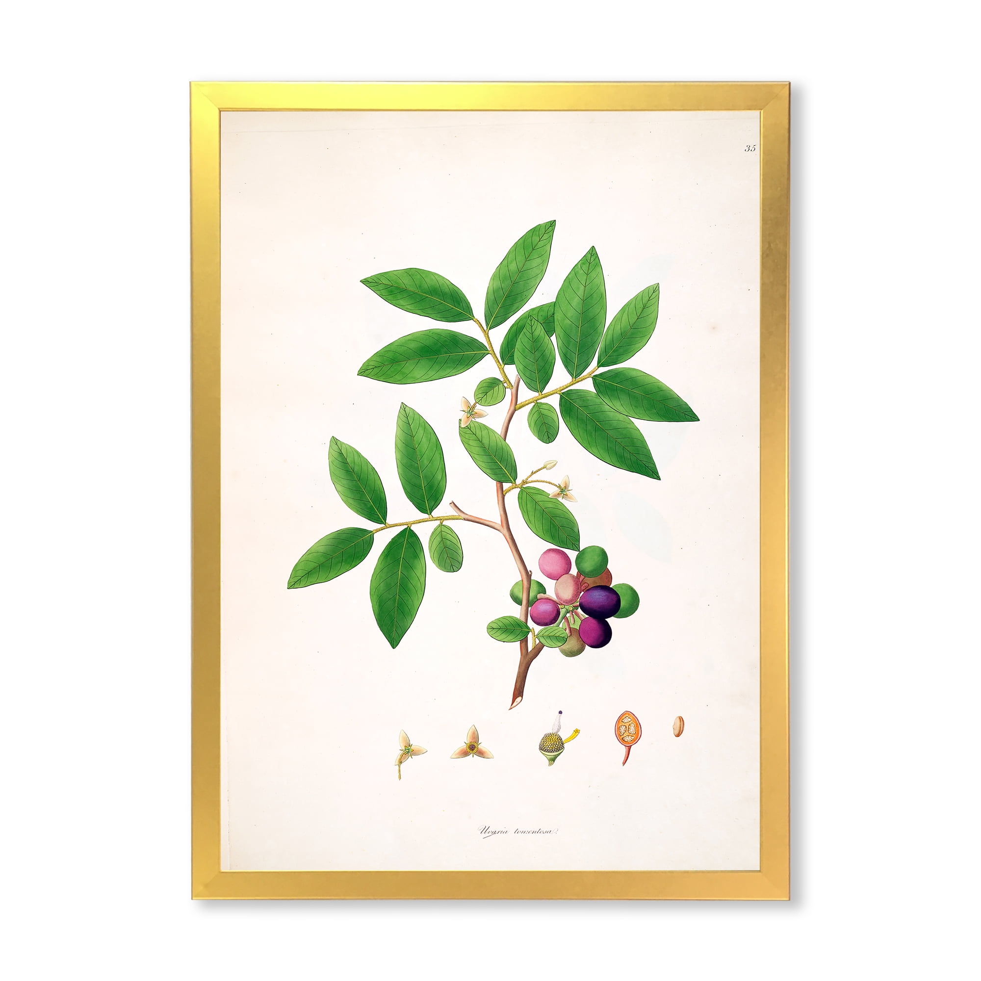 Designart 'Ancient London Plants XI' Farmhouse Framed Art Print