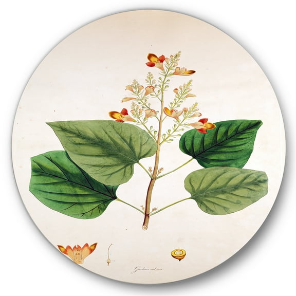 Designart 'Ancient London Plants XII' Farmhouse Circle Metal Wall Art 36x36 - Disc of 36