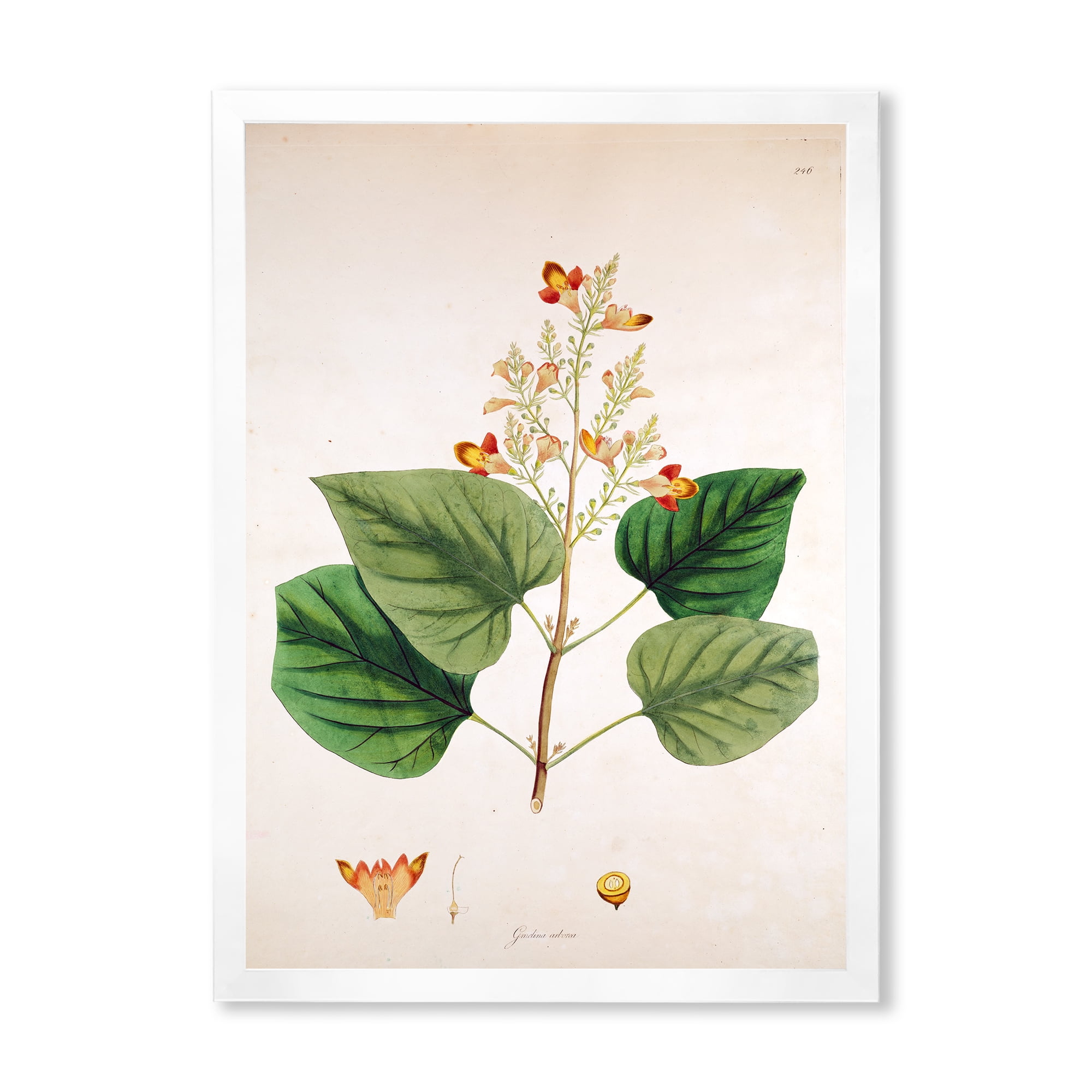 Designart 'Ancient London Plants XII' Farmhouse Framed Art Print