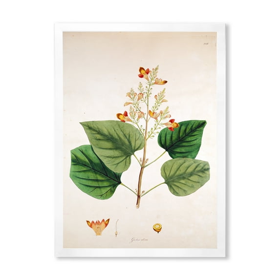 Designart 'Ancient London Plants XII' Farmhouse Framed Art Print