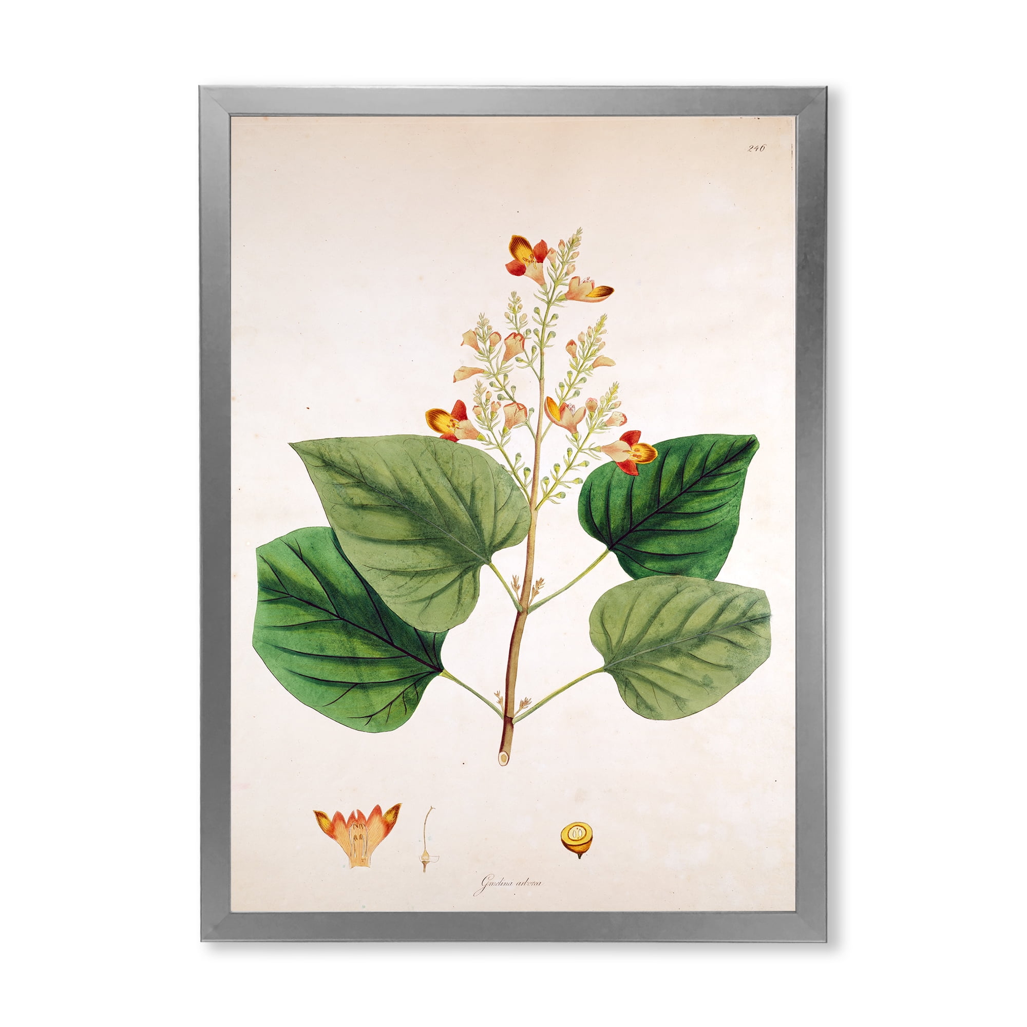Designart 'Ancient London Plants XII' Farmhouse Framed Art Print