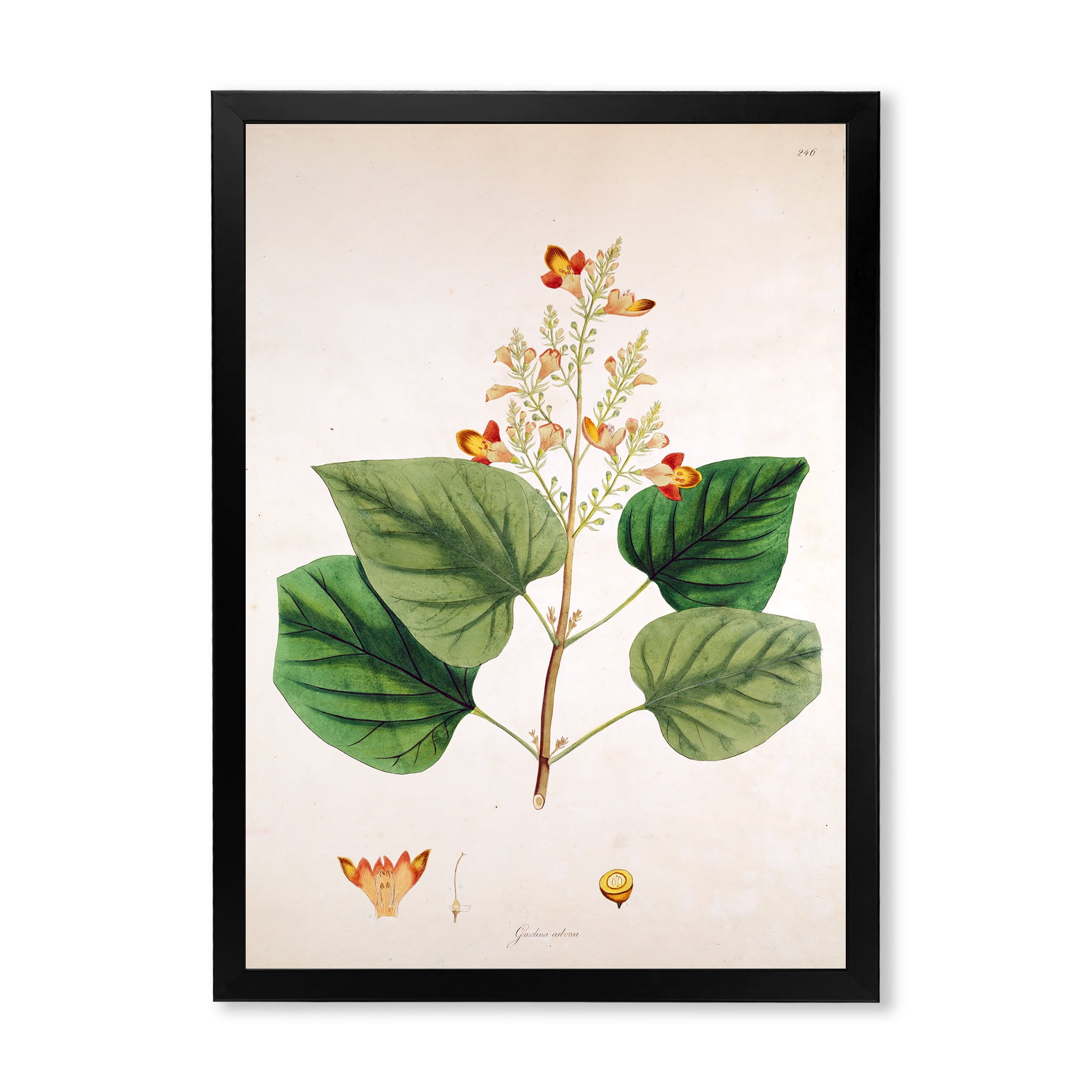 Designart 'Ancient London Plants XII' Farmhouse Framed Art Print