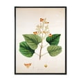 thumbnail image 1 of Designart 'Ancient London Plants XII' Farmhouse Framed Canvas Wall Art Print, 1 of 5