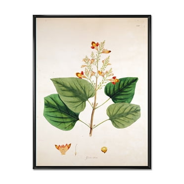 Designart 'Ancient London Plants XII' Farmhouse Framed Canvas Wall Art Print