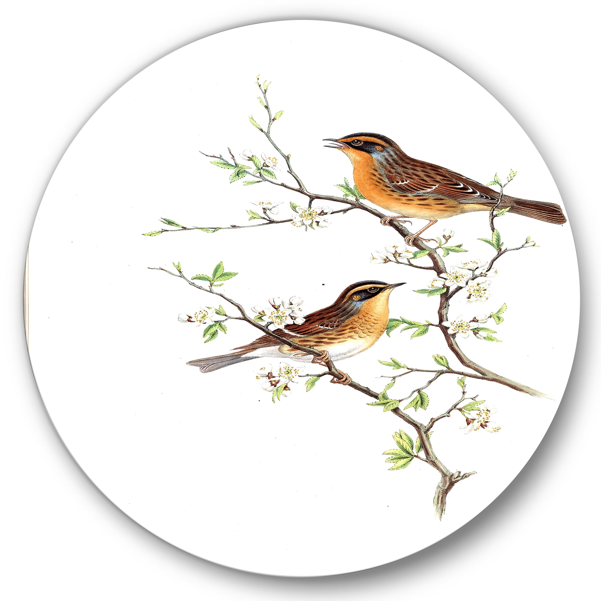 Designart 'Ancient Mammals II' Farmhouse Circle Metal Wall Art 11x11 - Disc of 11