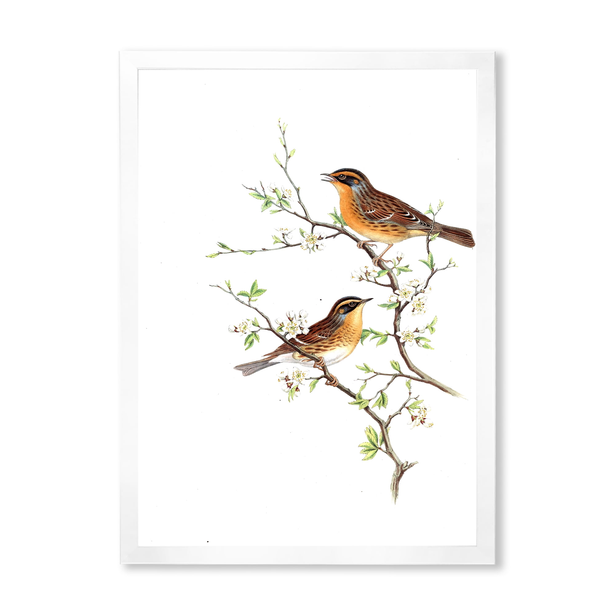 Designart 'Ancient Mammals II' Farmhouse Framed Art Print