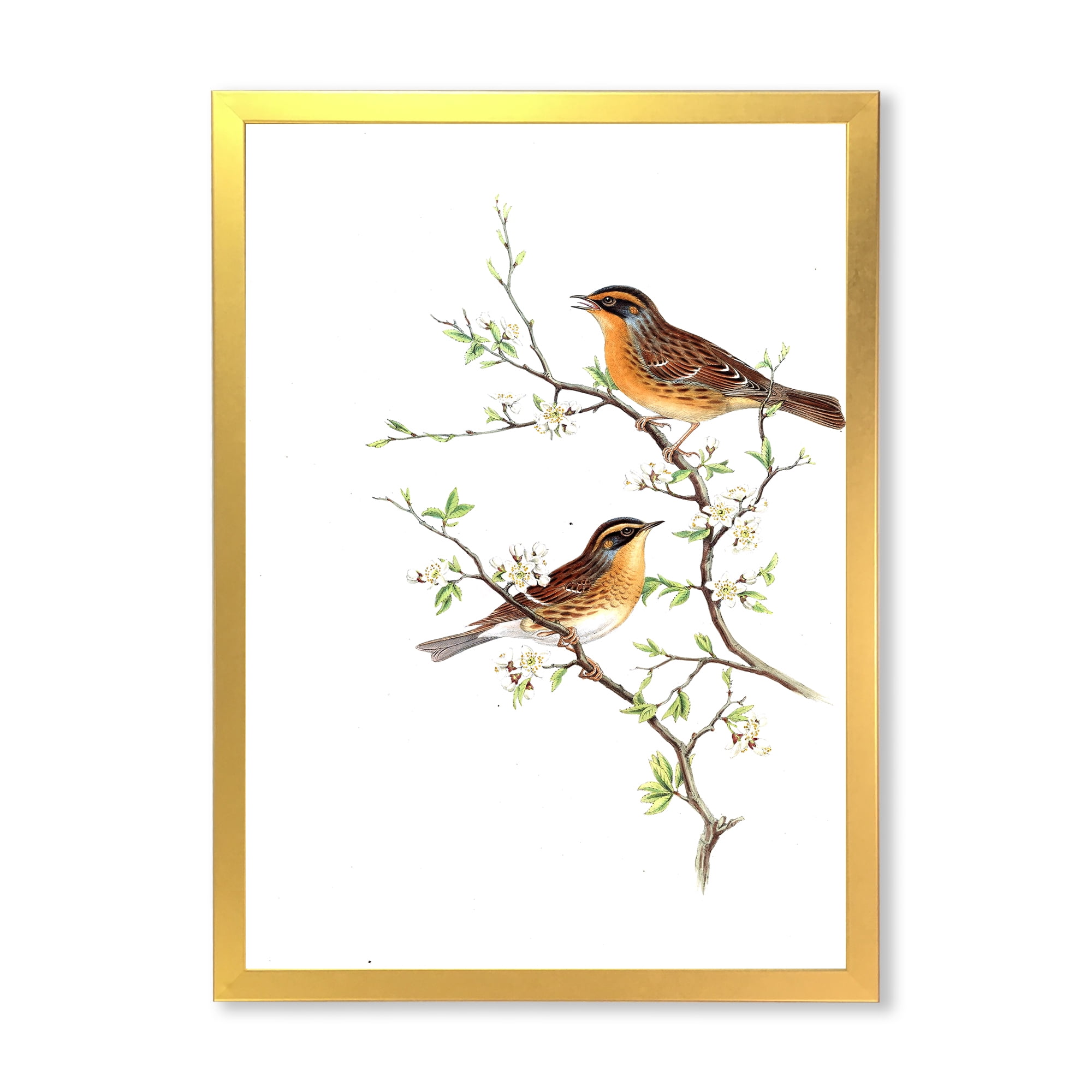 Designart 'Ancient Mammals II' Farmhouse Framed Art Print