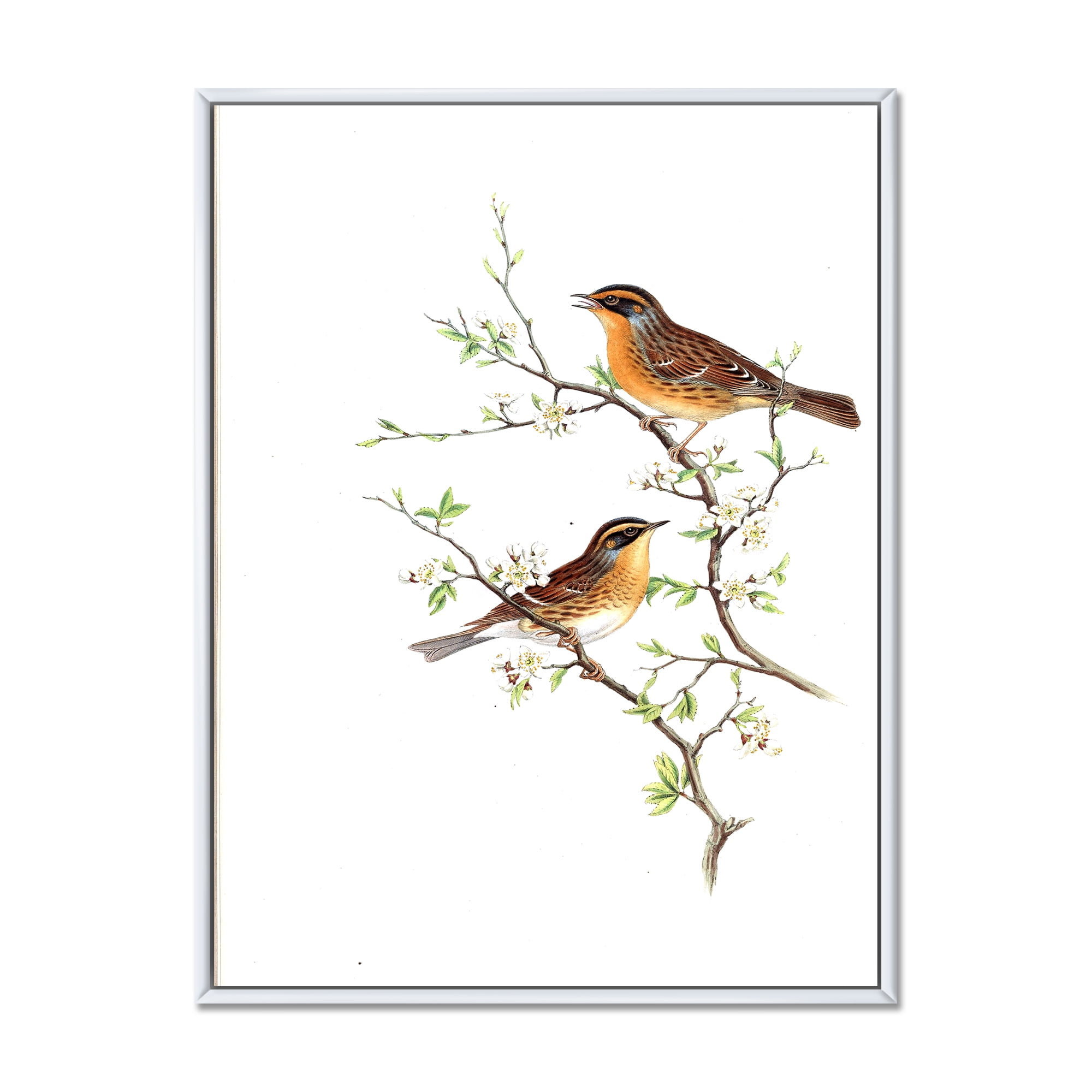 Designart 'Ancient Mammals II' Farmhouse Framed Canvas Wall Art Print