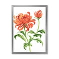 thumbnail image 1 of Designart 'Ancient Orange Chrysanthemum Flower' Traditional Framed Art Print, 1 of 4
