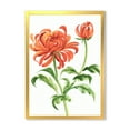thumbnail image 1 of Designart 'Ancient Orange Chrysanthemum Flower' Traditional Framed Art Print, 1 of 4