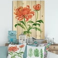 thumbnail image 1 of Designart 'Ancient Orange Chrysanthemum Flower' Traditional Print on Natural Pine Wood, 1 of 5