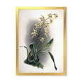 thumbnail image 1 of Designart 'Ancient Orchid Flower' Traditional Framed Art Print, 1 of 4