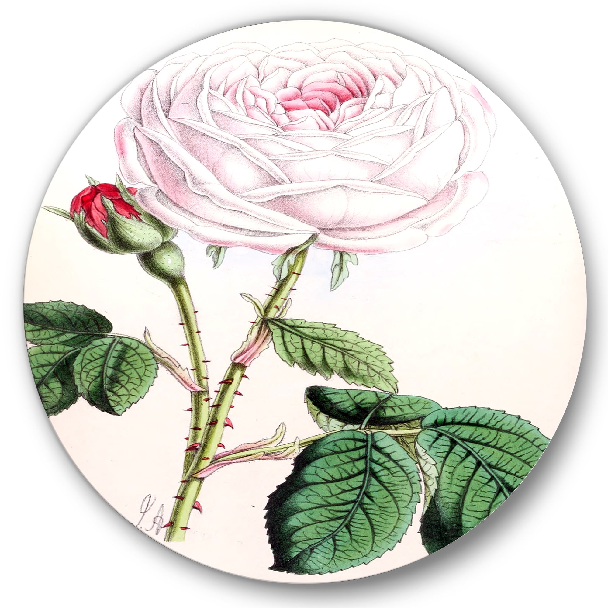 Designart 'Ancient Pink Flower' Traditional Circle Metal Wall Art 11x11 - Disc of 11