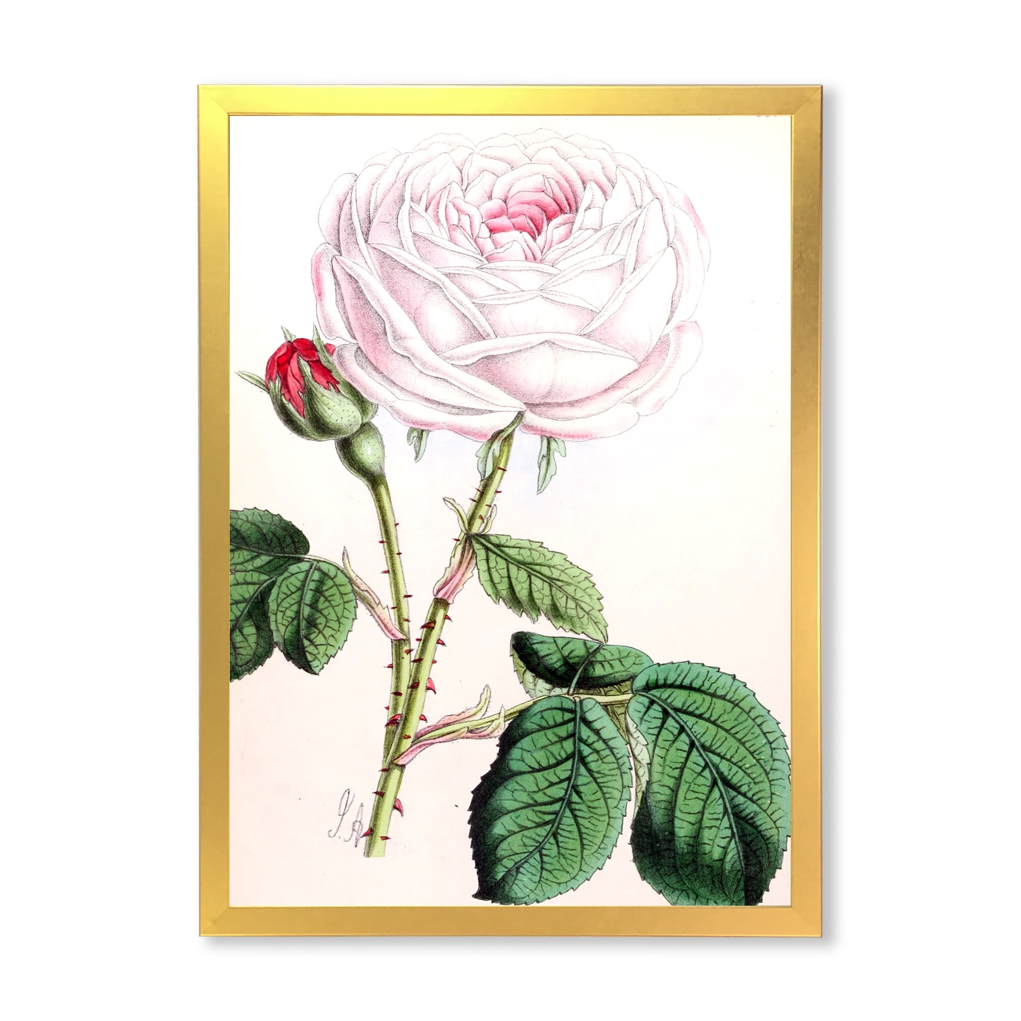 Designart 'Ancient Pink Flower' Traditional Framed Art Print