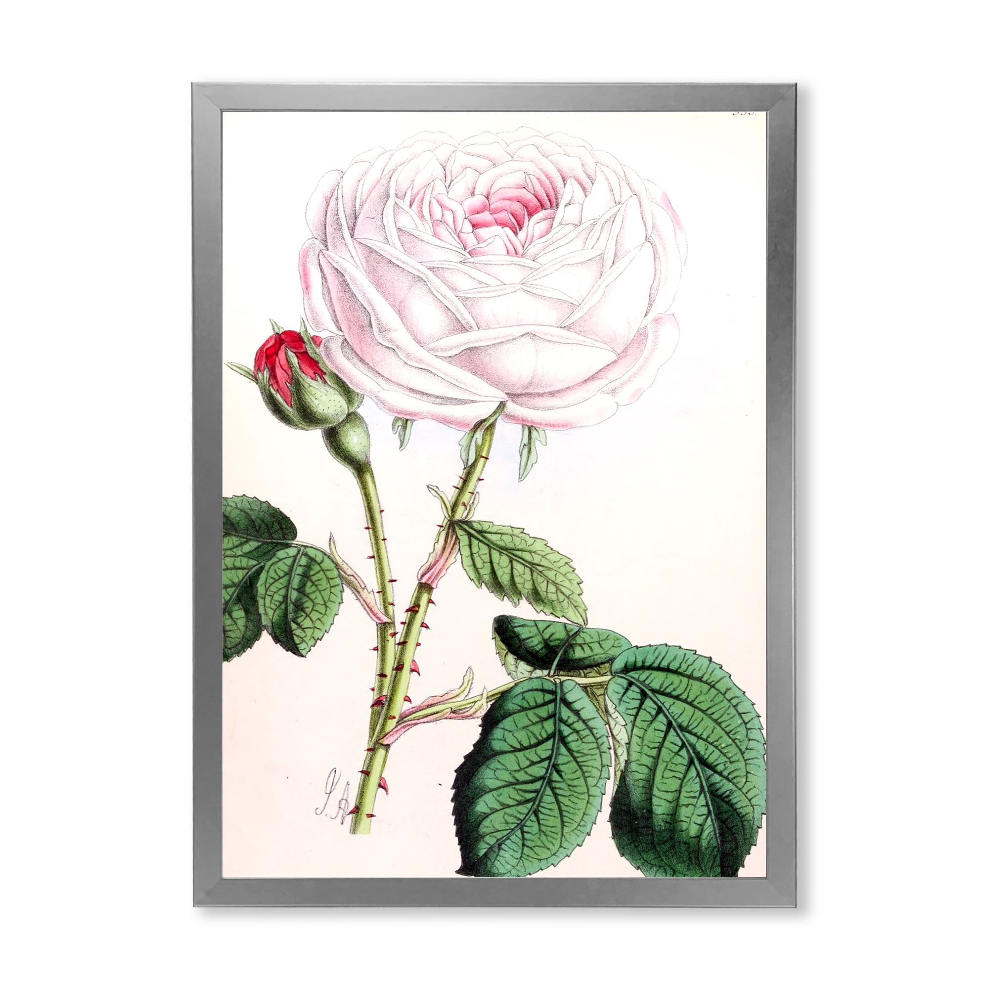 Designart 'Ancient Pink Flower' Traditional Framed Art Print
