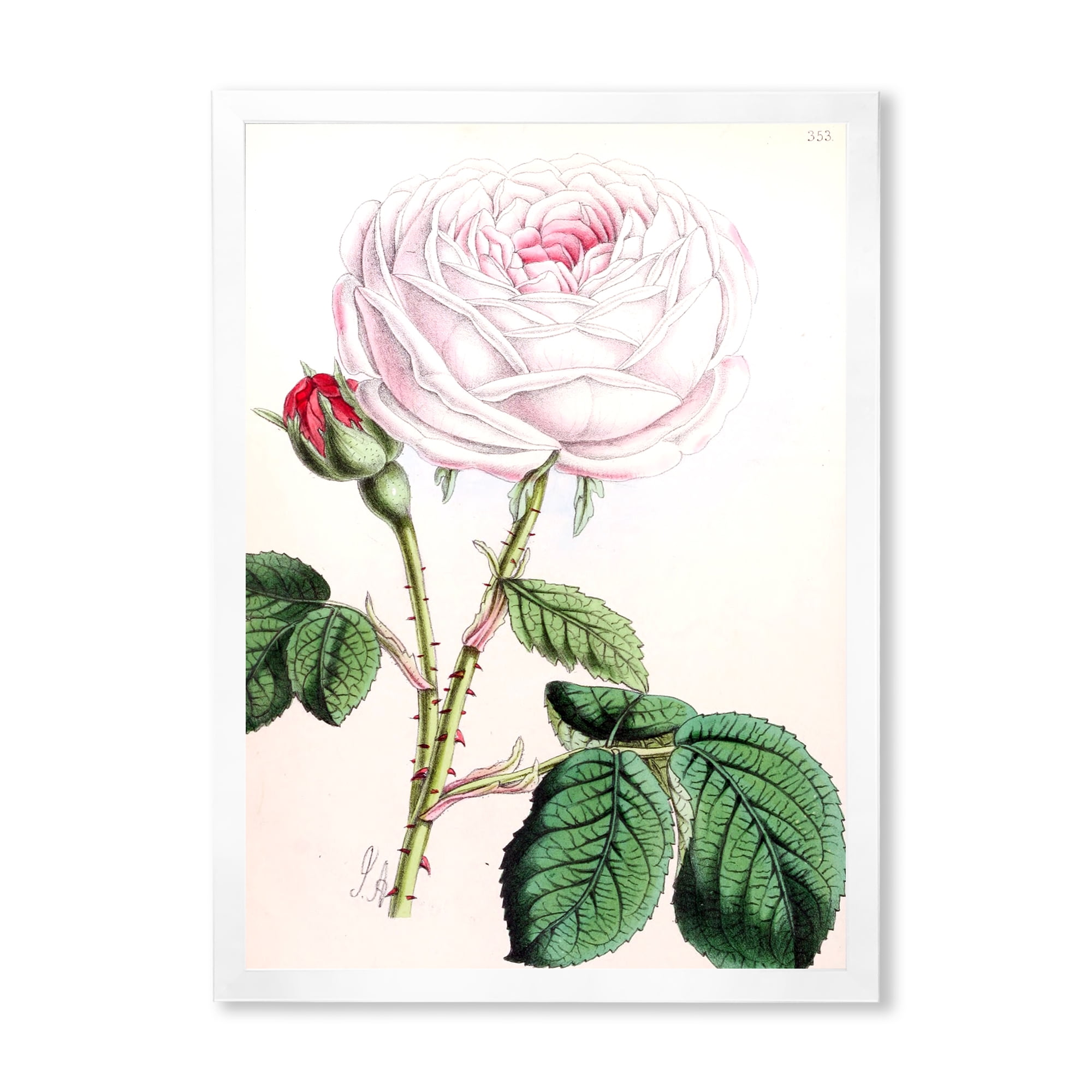 Designart 'Ancient Pink Flower' Traditional Framed Art Print