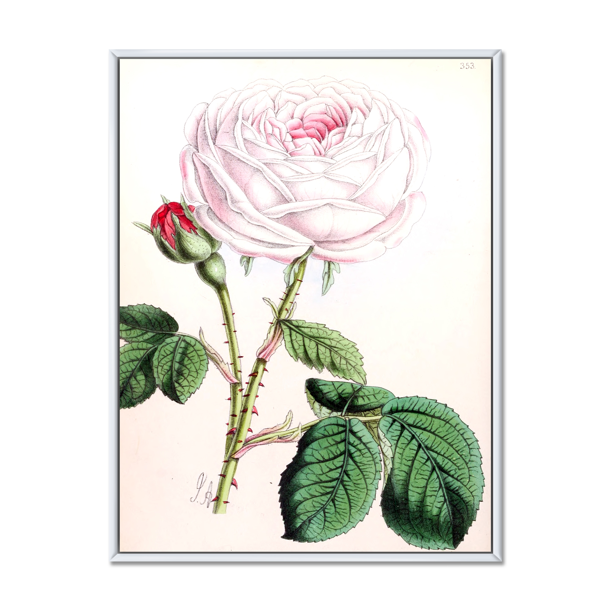 Designart 'Ancient Pink Flower' Traditional Framed Canvas Wall Art Print