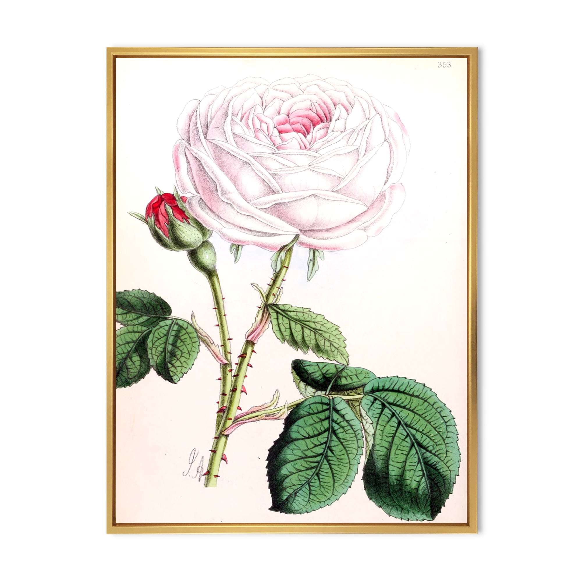 Designart 'Ancient Pink Flower' Traditional Framed Canvas Wall Art Print