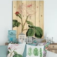 thumbnail image 1 of Designart 'Ancient Pink Flower' Traditional Print on Natural Pine Wood, 1 of 5