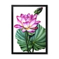 thumbnail image 1 of Designart 'Ancient Pink Lotuses In The Pond VI' Traditional Framed Art Print, 1 of 4