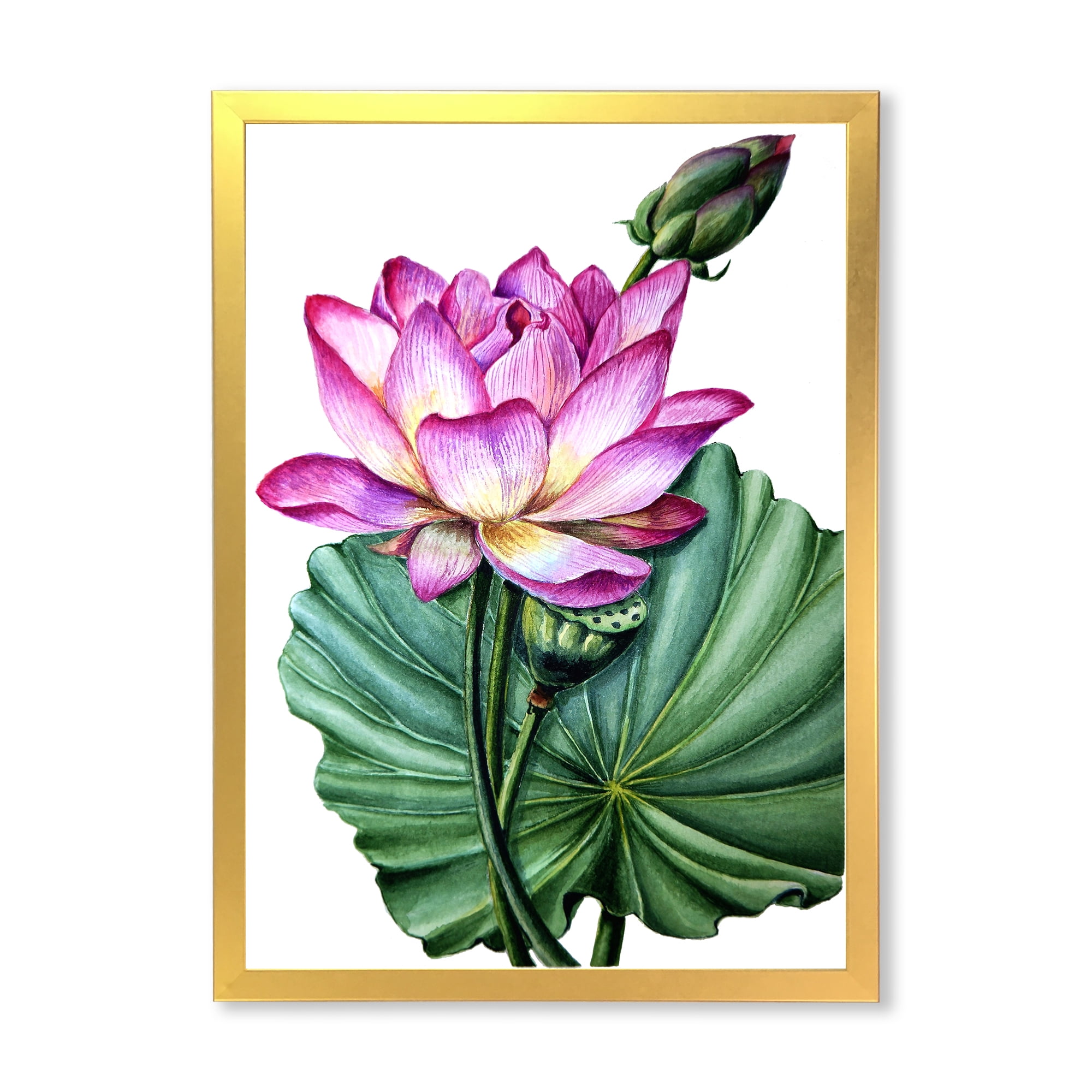 Designart 'Ancient Pink Lotuses In The Pond VI' Traditional Framed Art Print