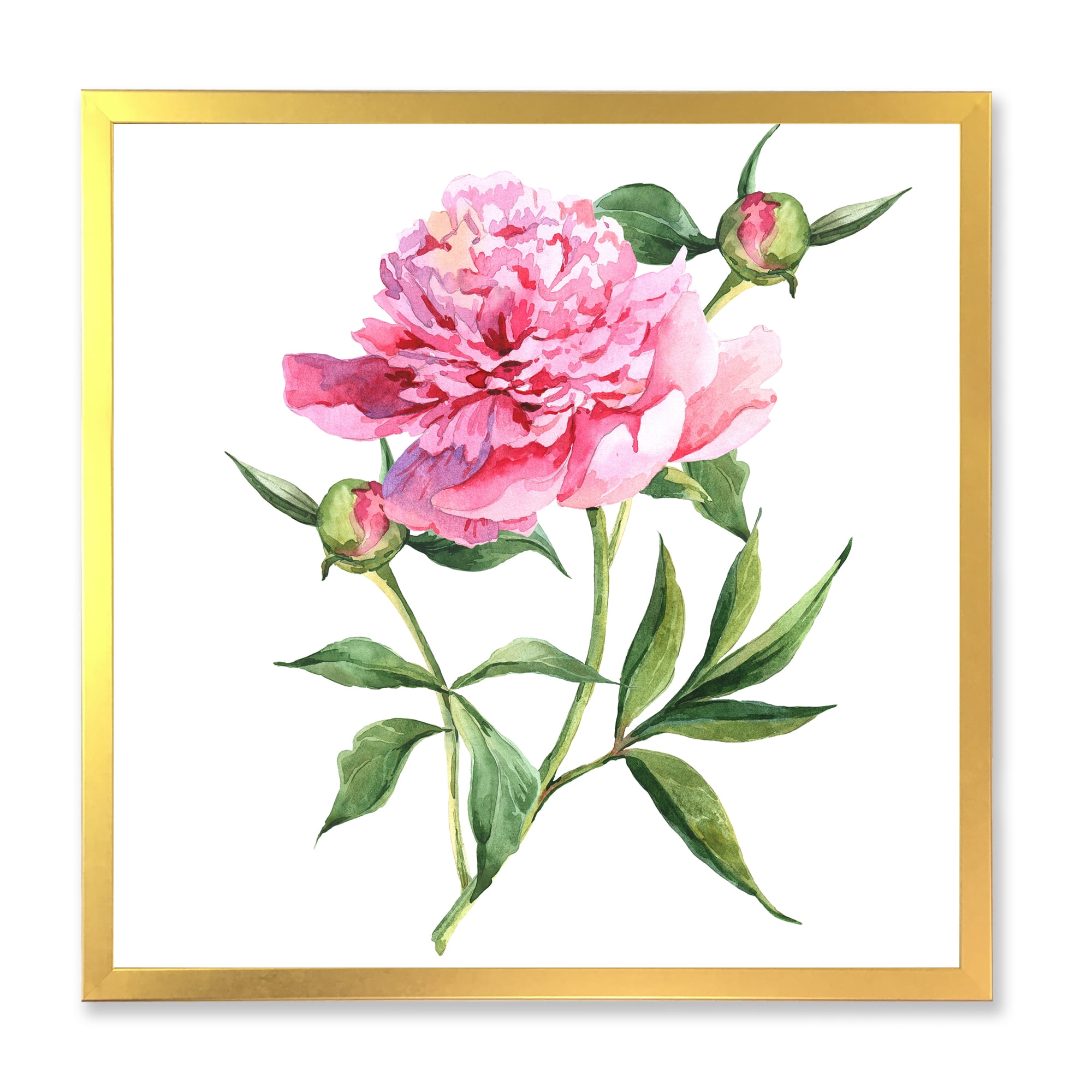 Designart 'Ancient Pink Peonies' Traditional Framed Art Print