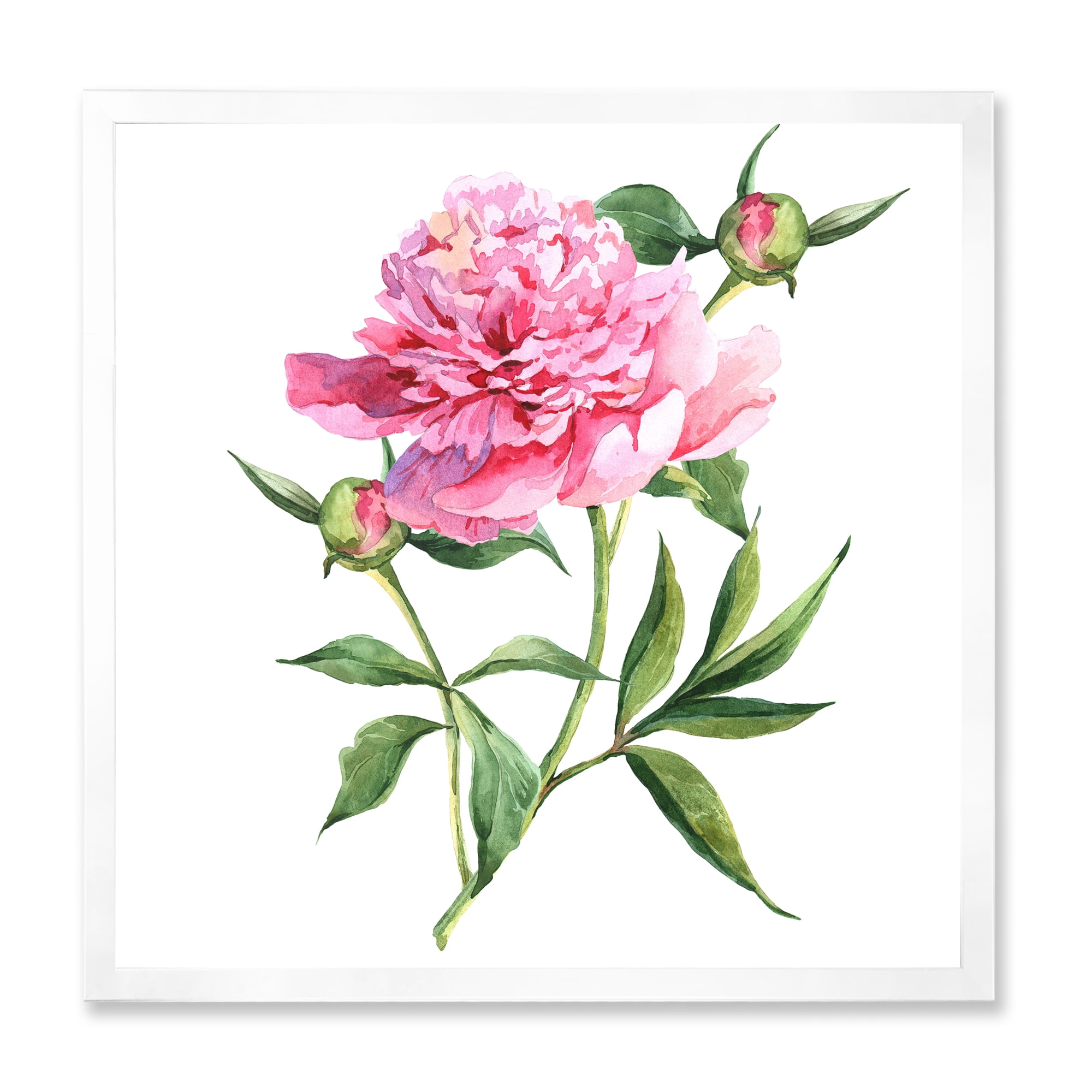 Designart 'Ancient Pink Peonies' Traditional Framed Art Print