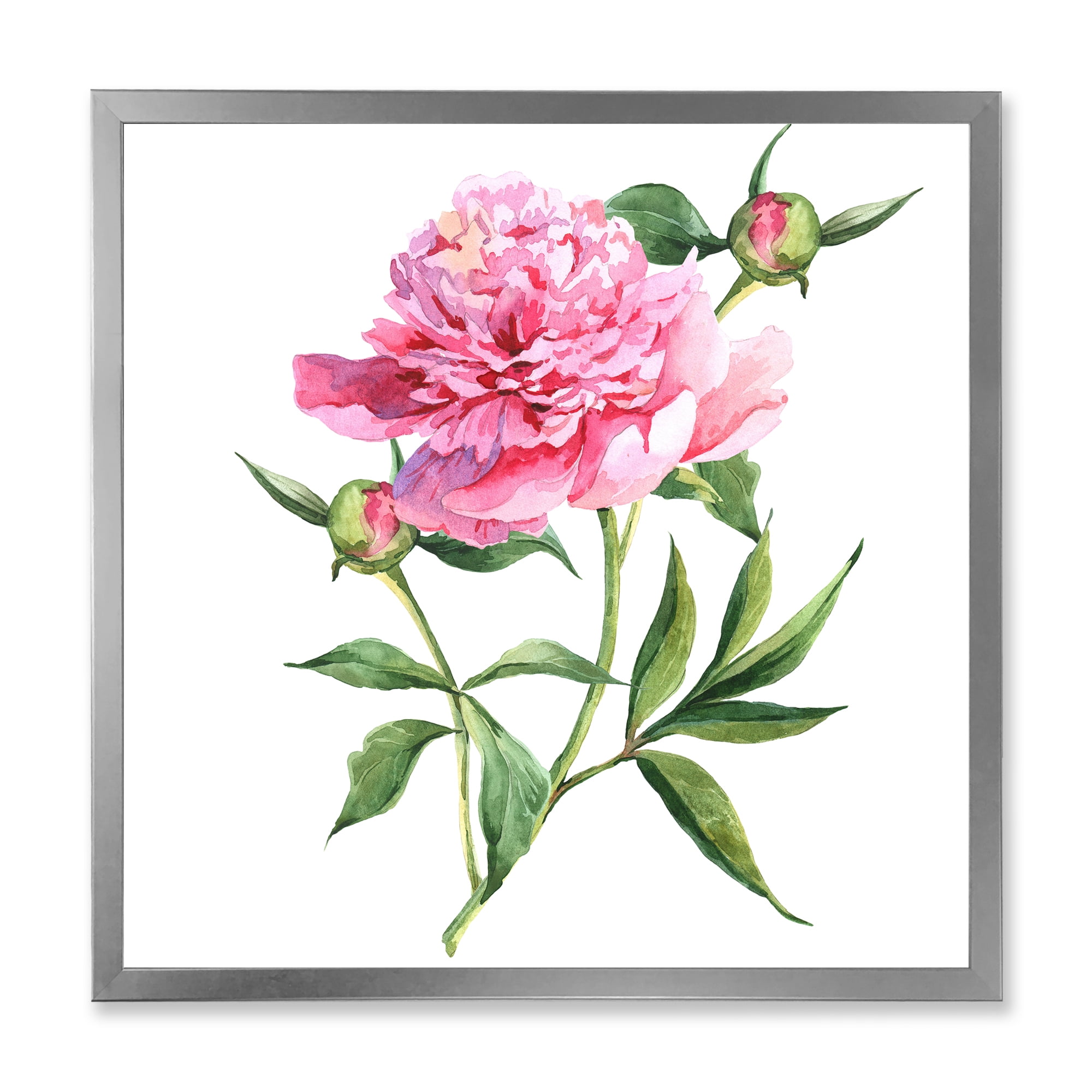 Designart 'Ancient Pink Peonies' Traditional Framed Art Print