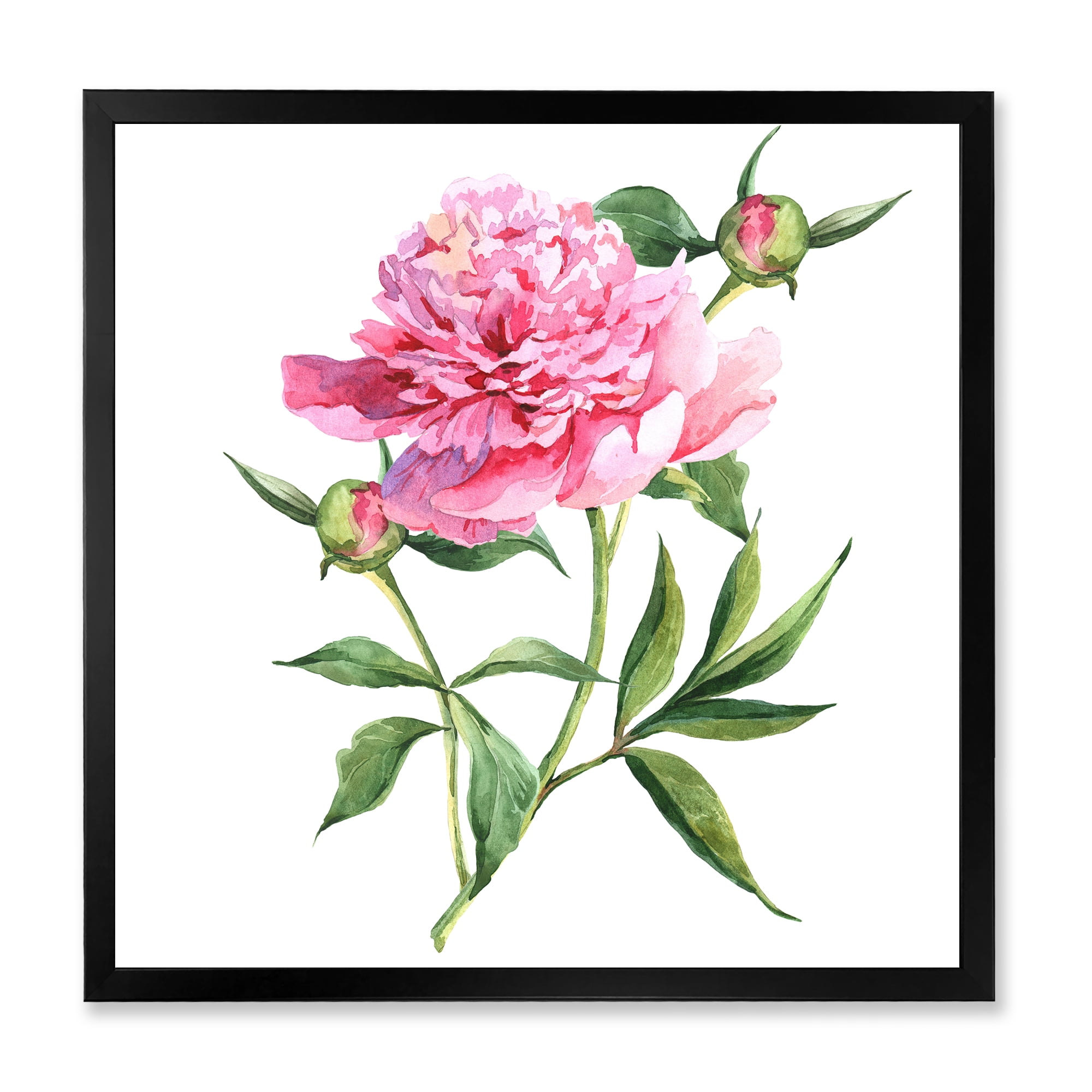 Designart 'Ancient Pink Peonies' Traditional Framed Art Print