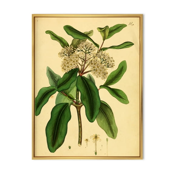 Designart 'Ancient Plant Life I' Traditional Framed Canvas Wall Art Print