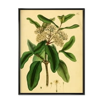 Designart 'Ancient Plant Life I' Traditional Framed Canvas Wall Art Print