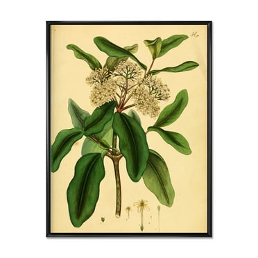 Designart 'Ancient Plant Life I' Traditional Framed Canvas Wall Art Print