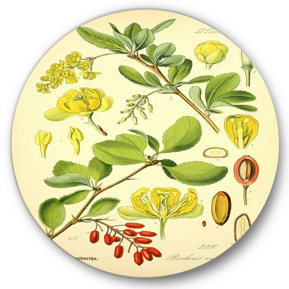 Designart 'Ancient Plant Life II' Traditional Circle Metal Wall Art 11x11 - Disc of 11