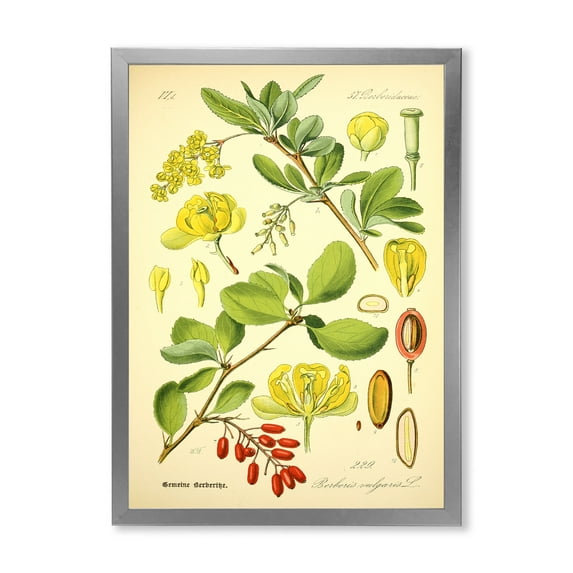 Designart 'Ancient Plant Life II' Traditional Framed Art Print