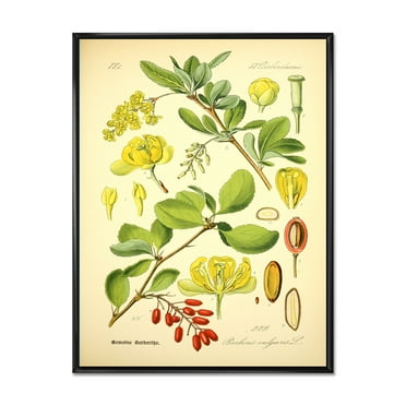 Designart 'Ancient Plant Life II' Traditional Framed Canvas Wall Art Print