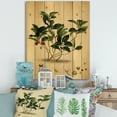 thumbnail image 1 of Designart 'Ancient Plant Life III' Traditional Print on Natural Pine Wood, 1 of 5