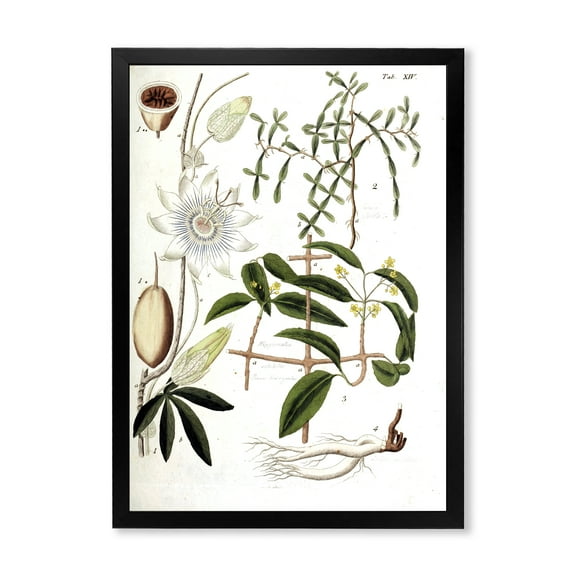 Designart 'Ancient Plant Life IV' Farmhouse Framed Art Print