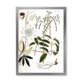 thumbnail image 1 of Designart 'Ancient Plant Life IV' Farmhouse Framed Art Print, 1 of 4