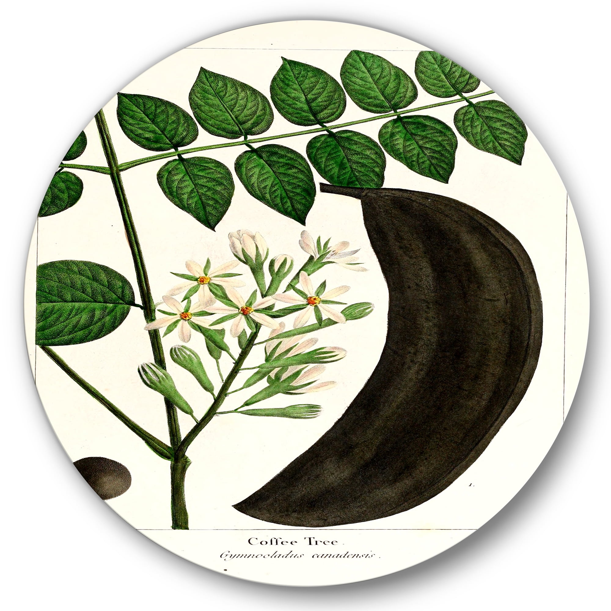 Designart 'Ancient Plant Life IX' Traditional Circle Metal Wall Art 23x23 - Disc of 23
