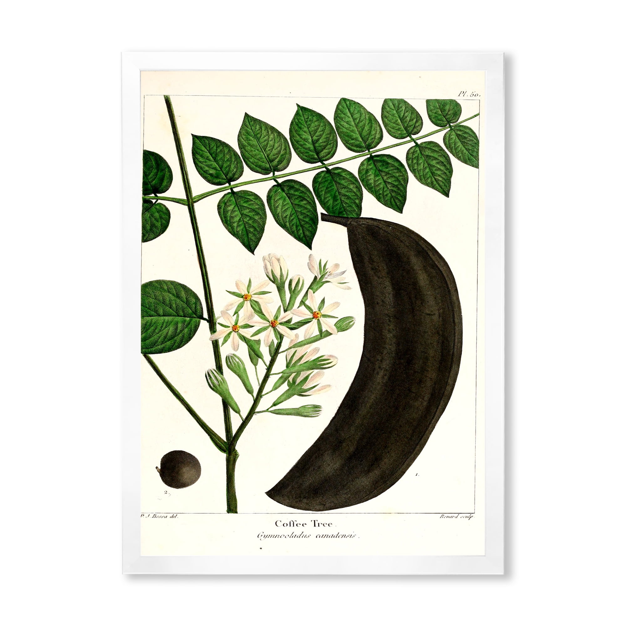 Designart 'Ancient Plant Life IX' Traditional Framed Art Print