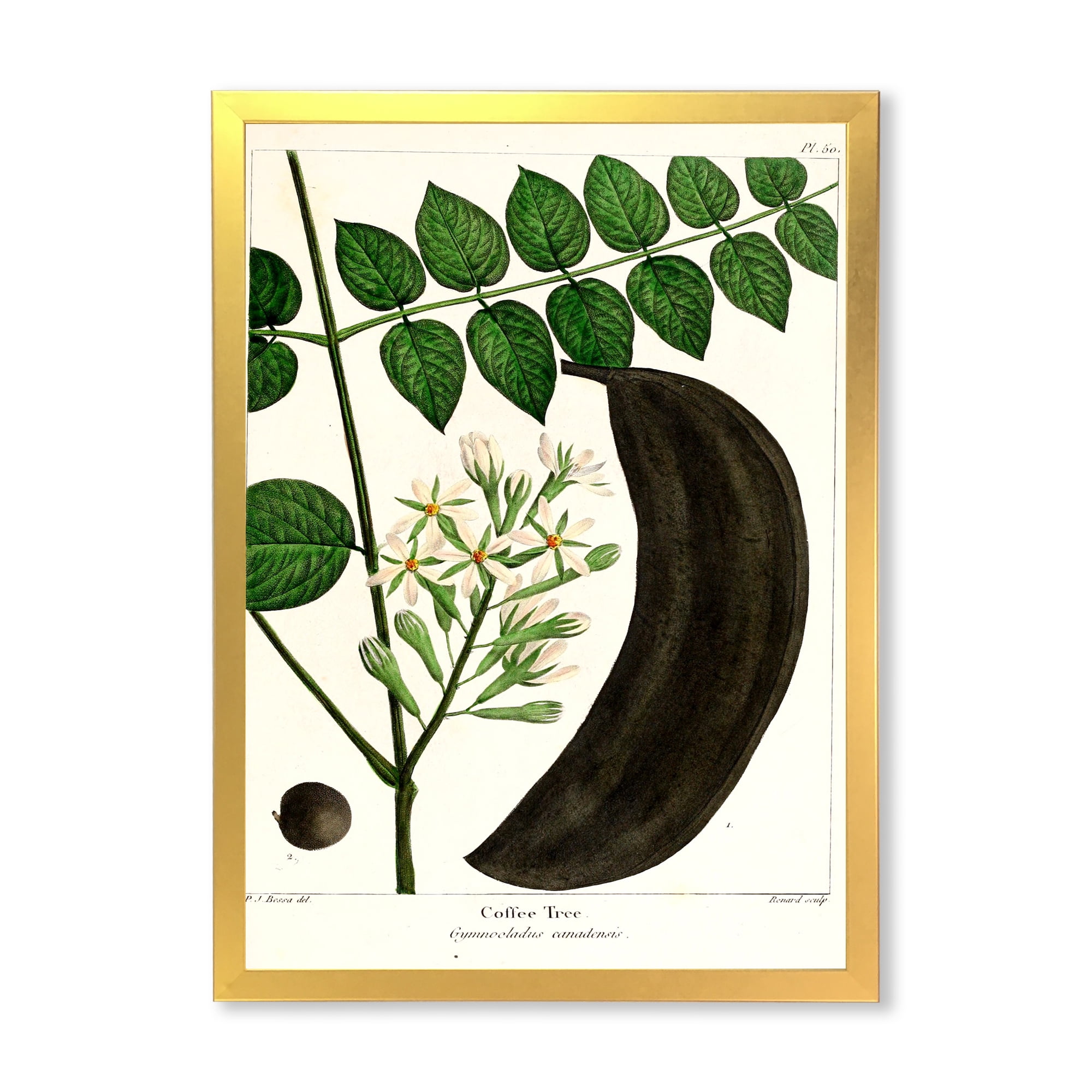 Designart 'Ancient Plant Life IX' Traditional Framed Art Print